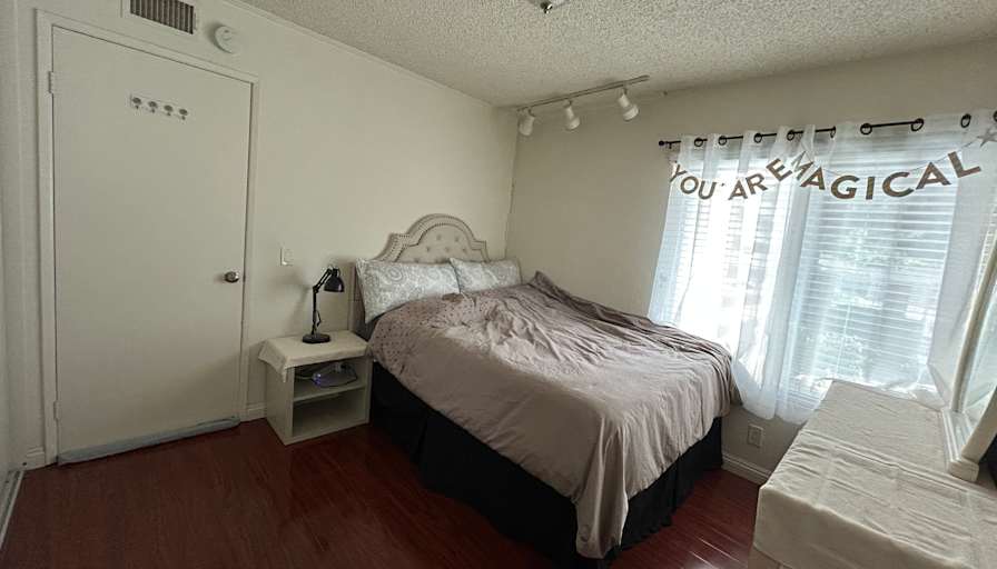 Shaunes's room