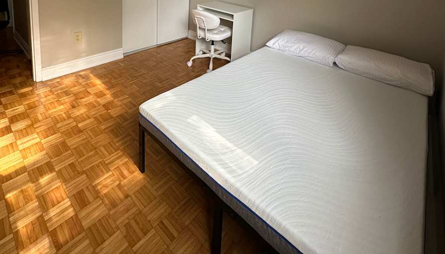 Niloo's room