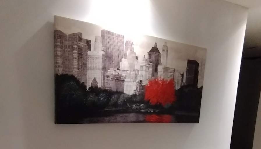 Gio's room