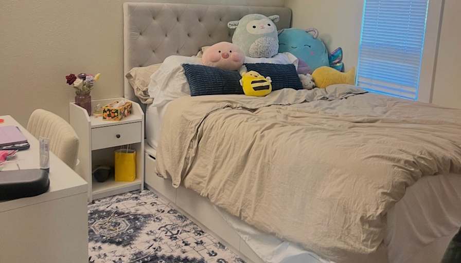 Ariel's room