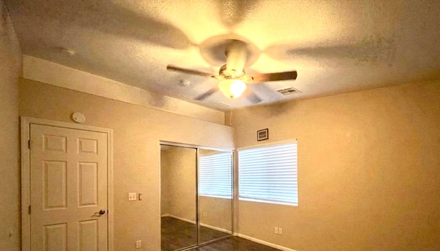Emily's room