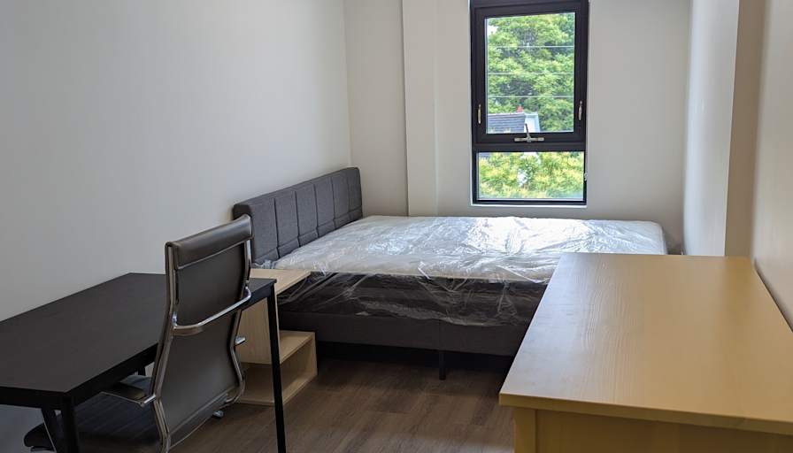 Paulo's room