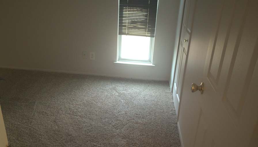 Christy L McAvoy's room