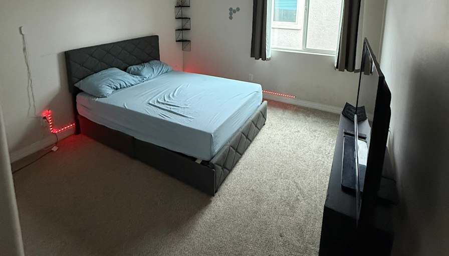 Solomon's room