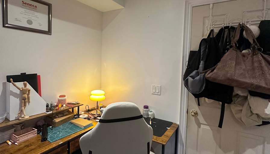 Lisa's room