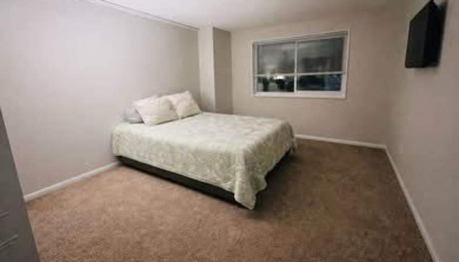 Room available now - shared bathroom's room