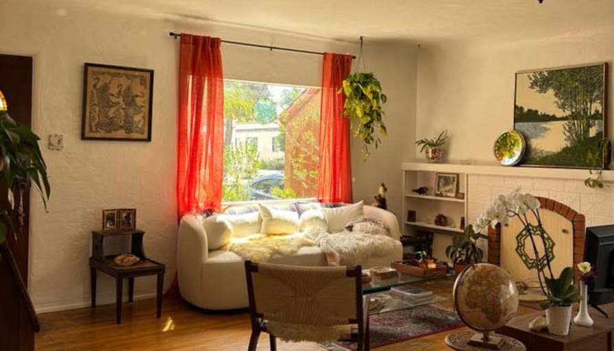Shay's room