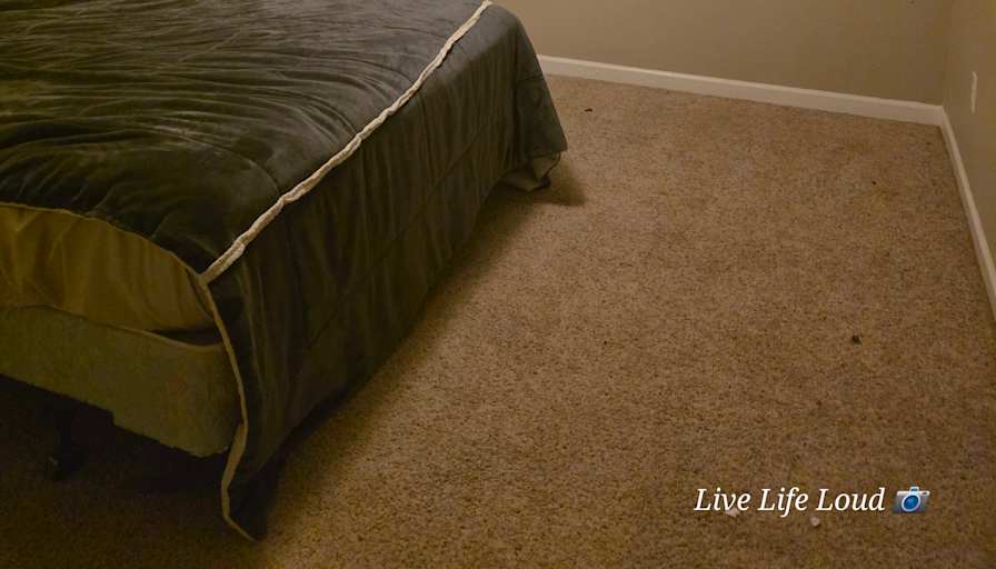 Shawn's room