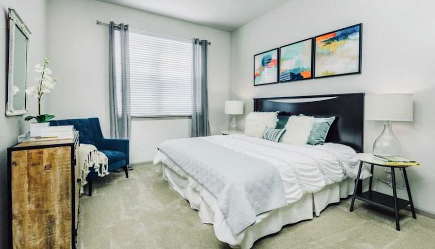 Hayde's room