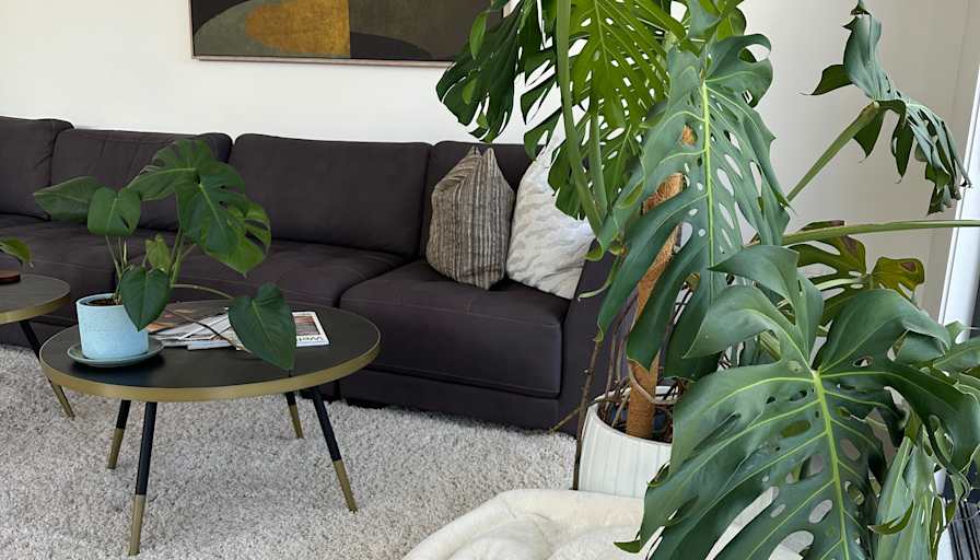 Linda A.'s room