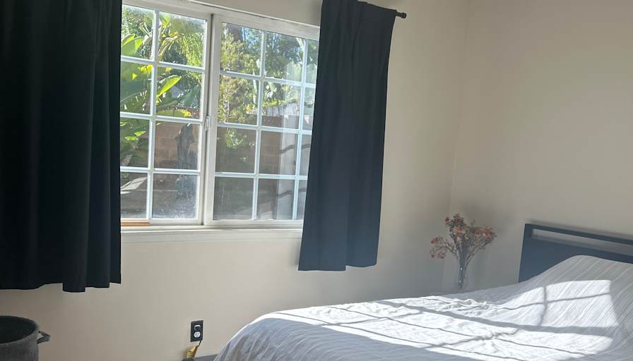 ladan Amin's room
