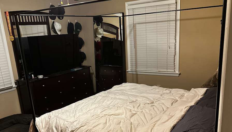 Vishva's room