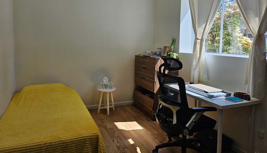 Negin's room