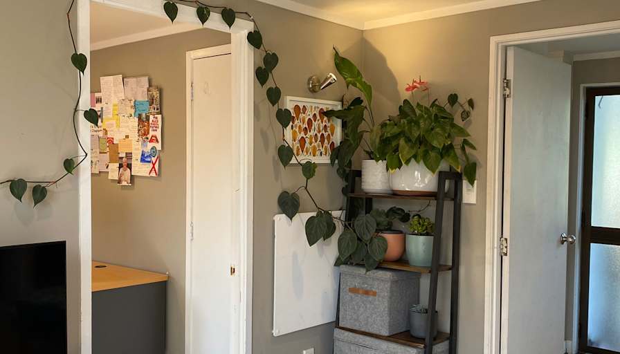 Sam Hanson-Chong's room