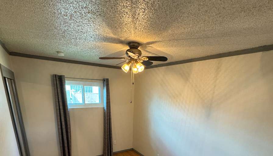 Shawn's room