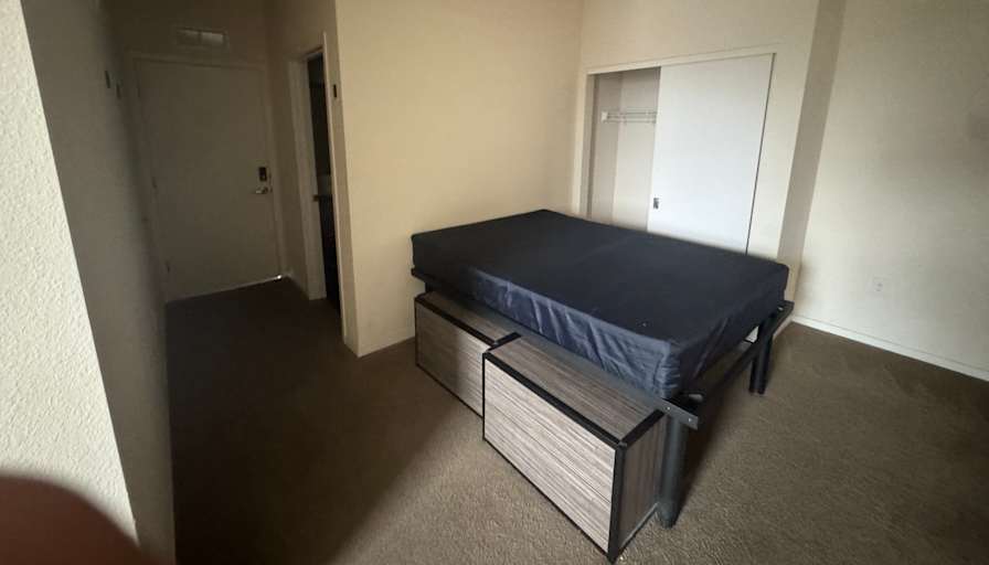 Trace Hasz's room