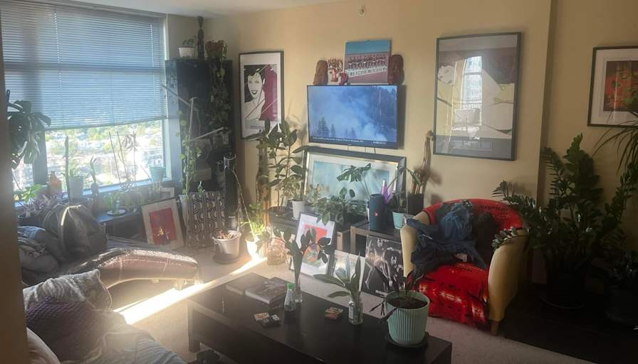 Richard Romano Carlsen's room