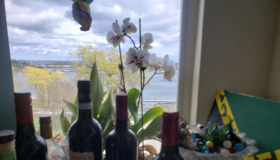 Chin's room