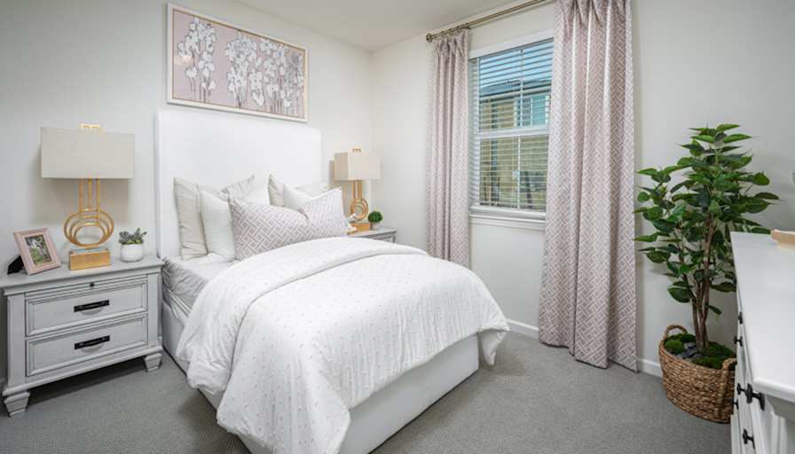 David's room