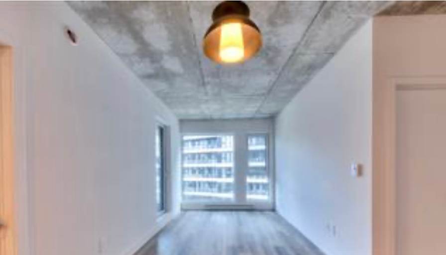 Javiera Navarro's room