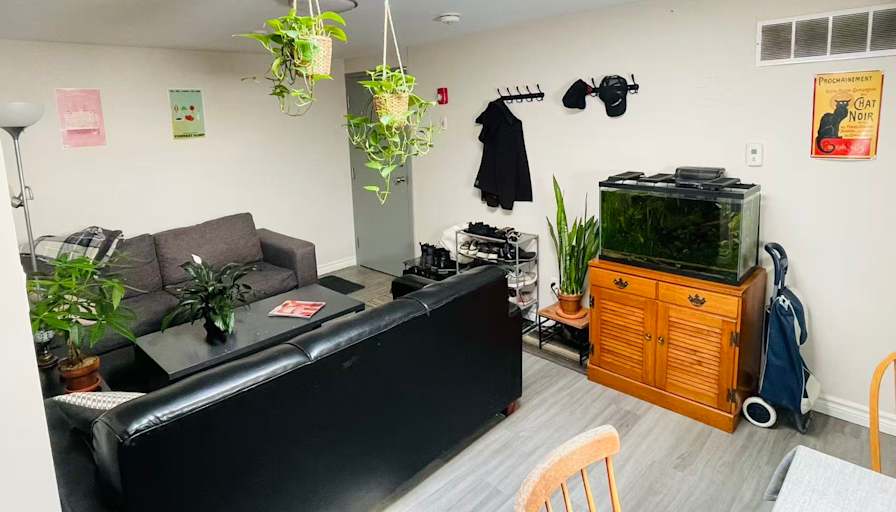 Jayne's room
