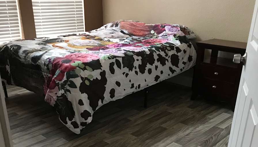 Phoenix's room