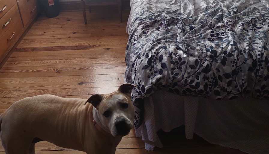 joel's room