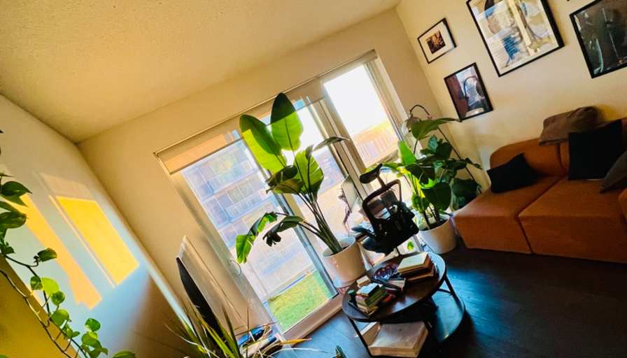 Nicoy Davis's room
