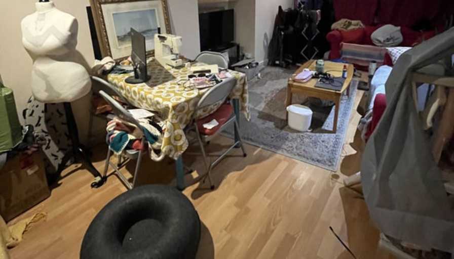 Lucy's room