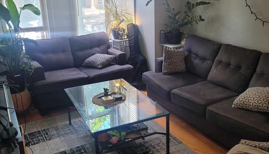 Daniel's room