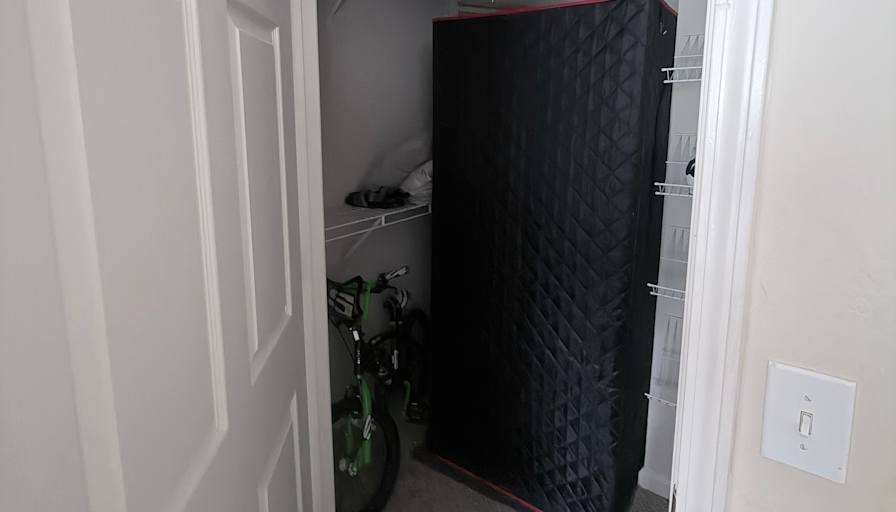Lucky's room