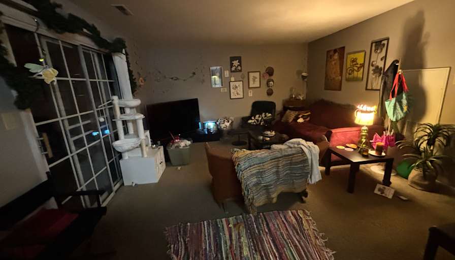 Lily's room