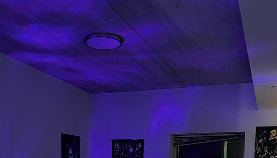 Mya Burrows's room