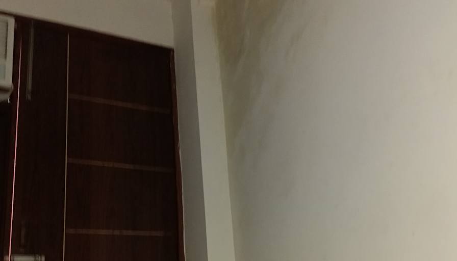 Faisal's room