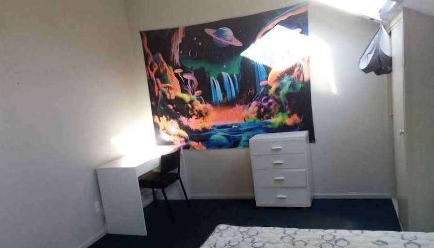 patricia adamkova's room