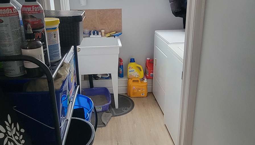 Mitch's room