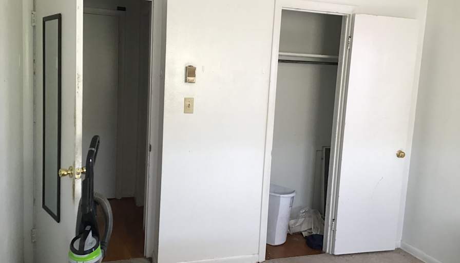Fox's room