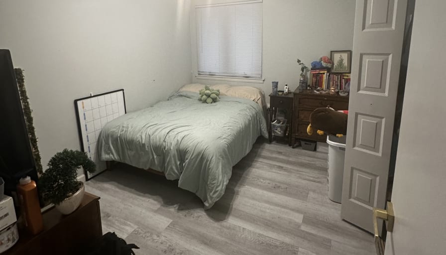 Bielka's room