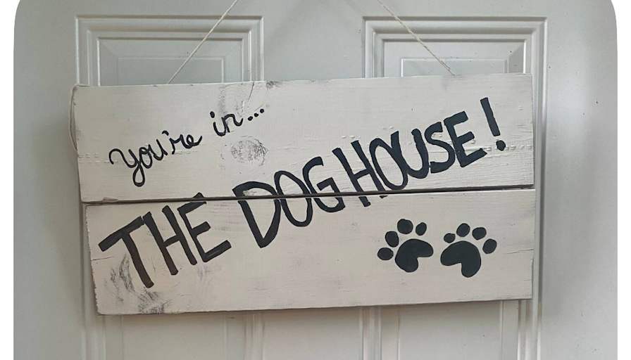 The Dog House's room