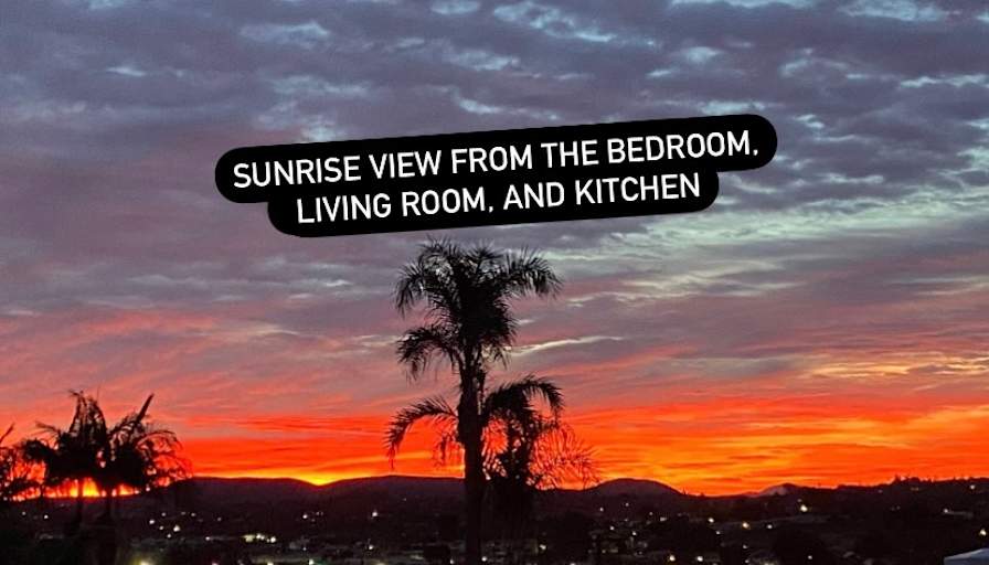 Rachel's room
