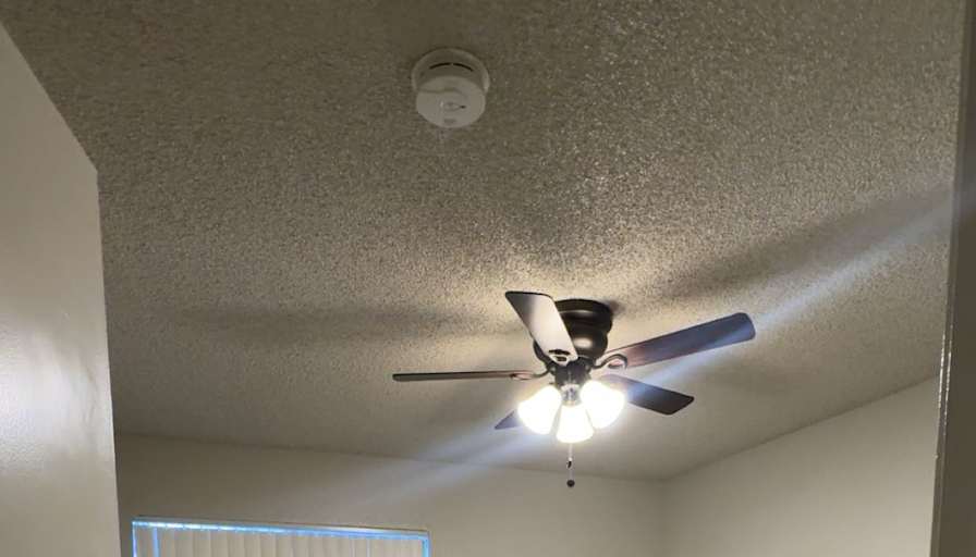 Delfino Lopez's room