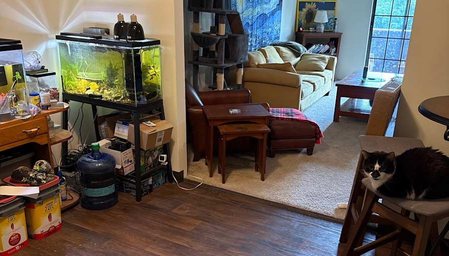 Anthony's room