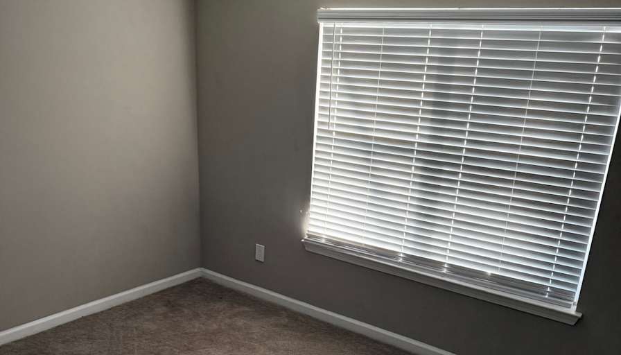 Michelle rael's room