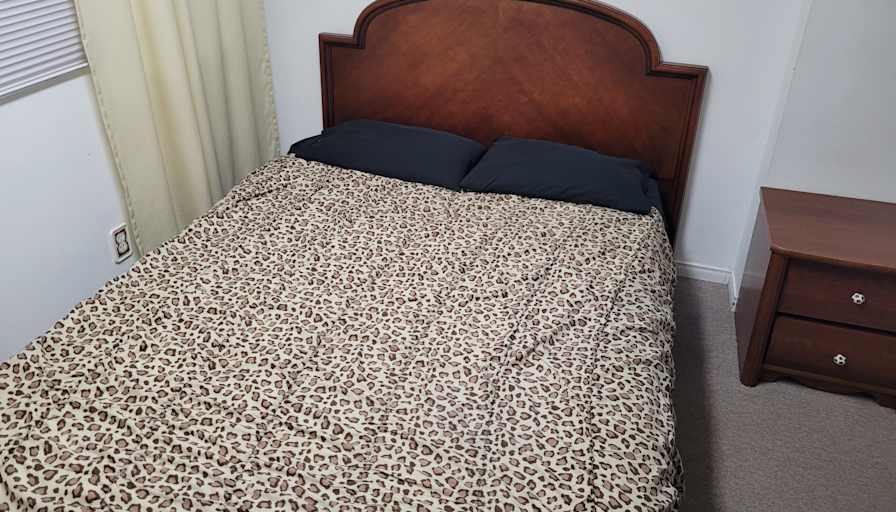 patricia's room