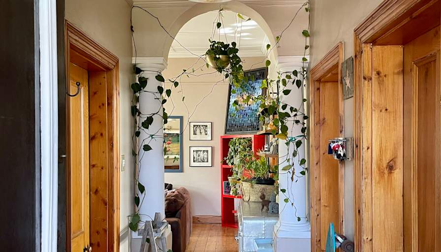 Dino's room