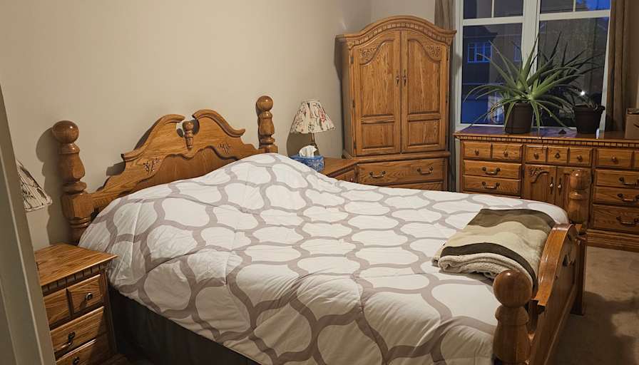 Dino's room