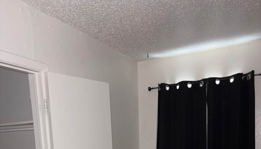 BELLA's room