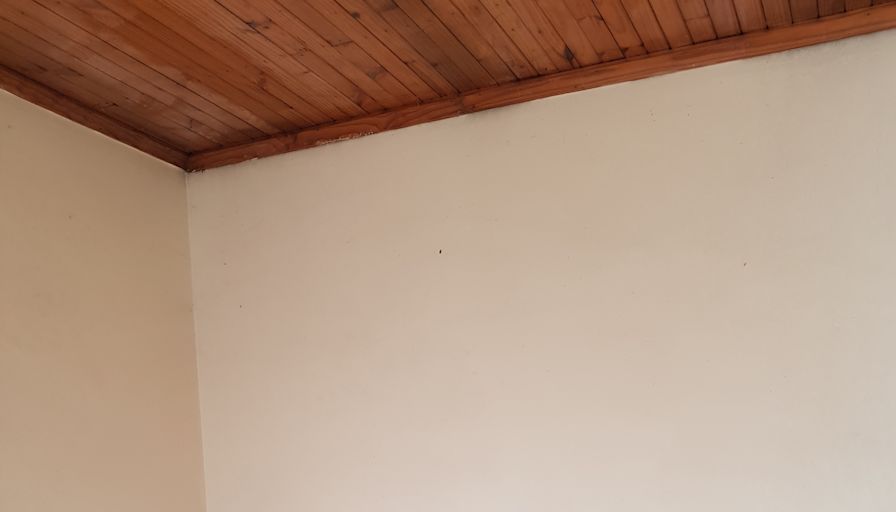 Rudi's room