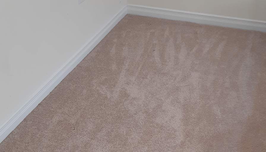 Shaheen's room