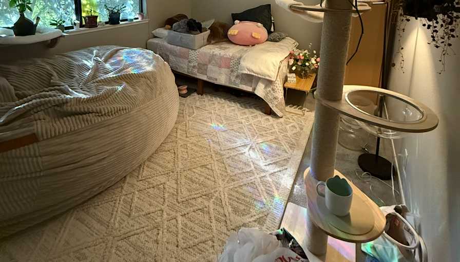 Emma's room